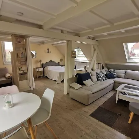 La Belvilloise , Maison 6 Personnes Avec Jardin Terrasse Et Proche